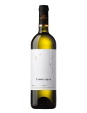 Corcova - Muscat Ottonel